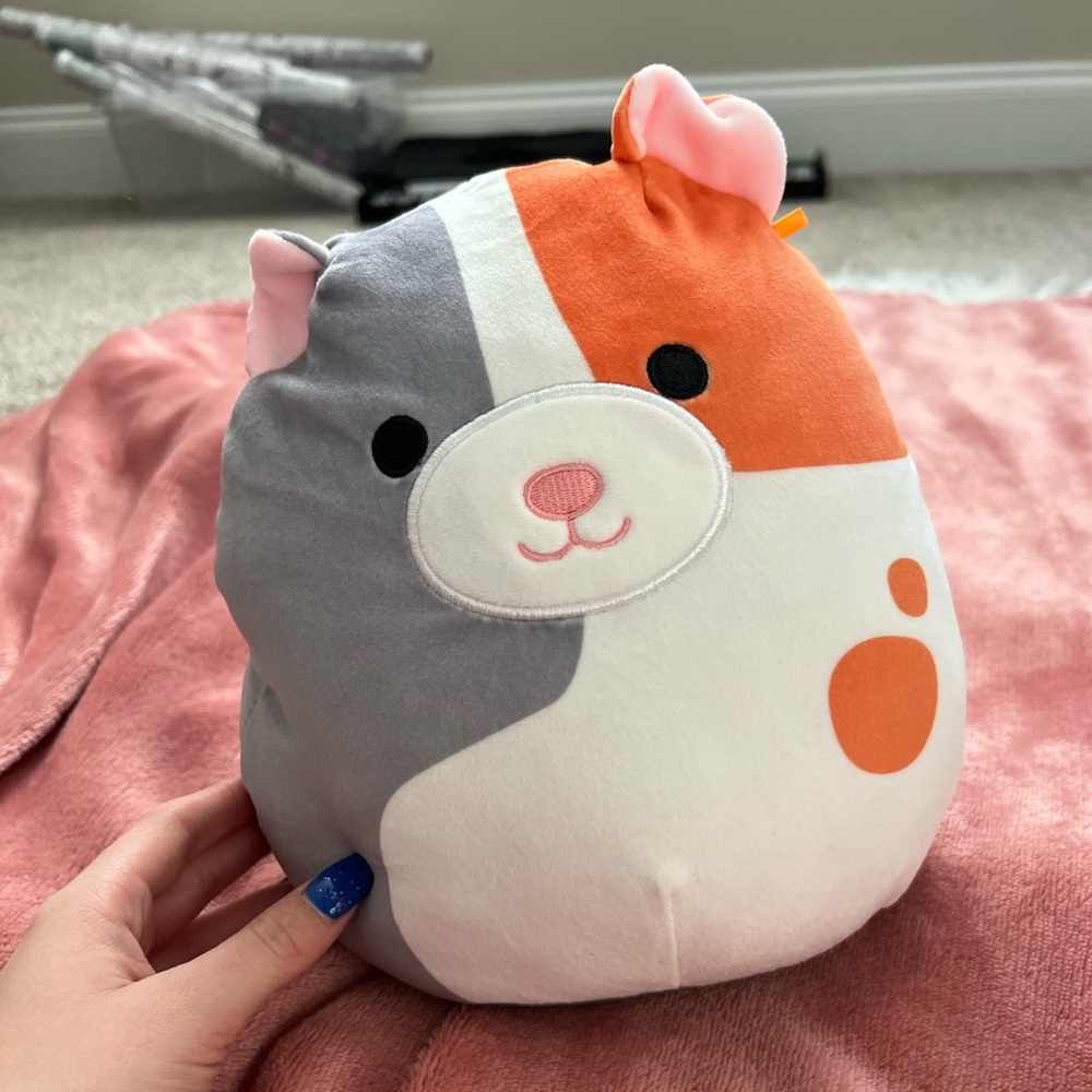 Ultra rare calico, cat squishmellow